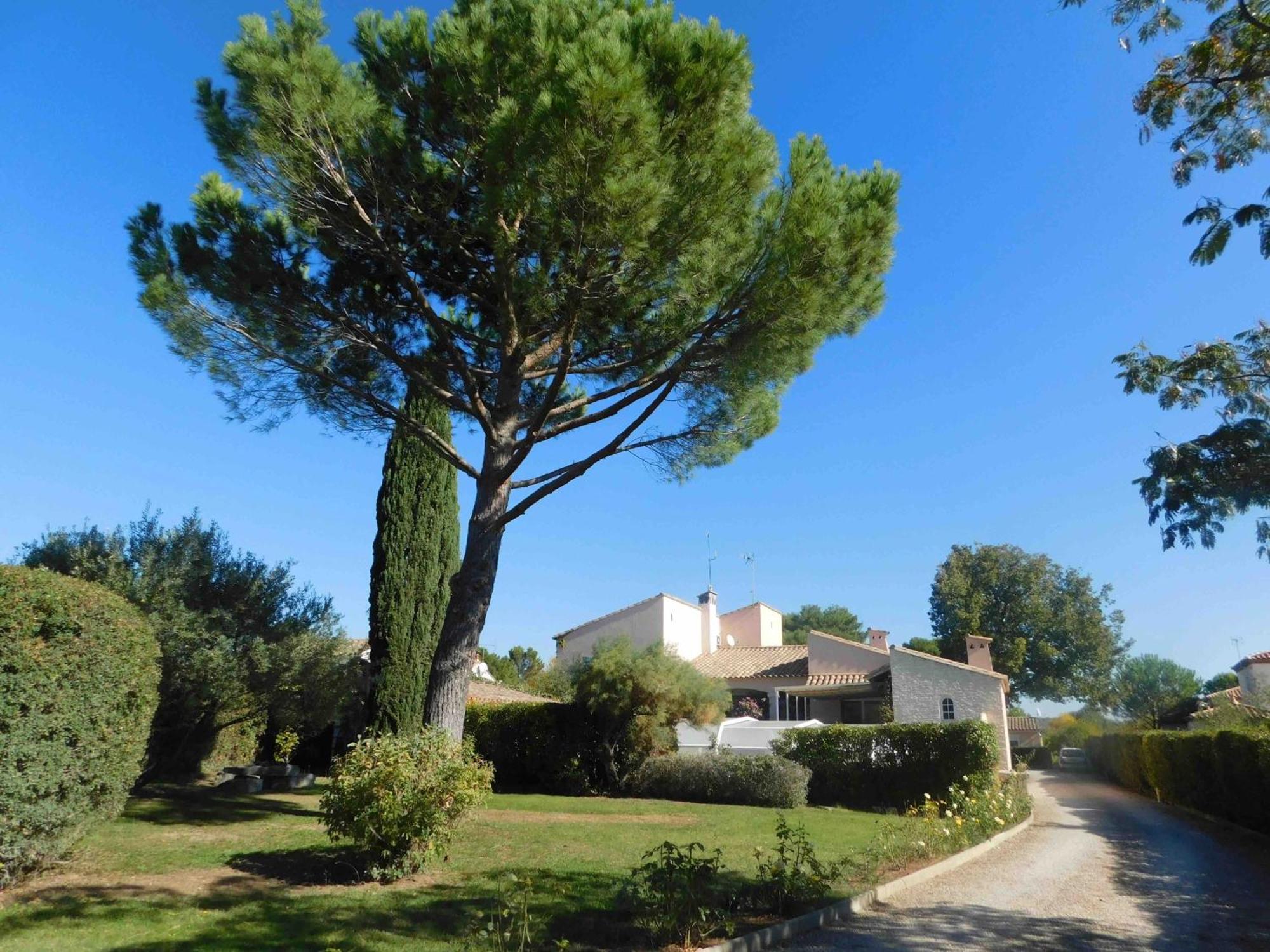 Les Bougainvillees De Camargue Villetelle Exteriér fotografie