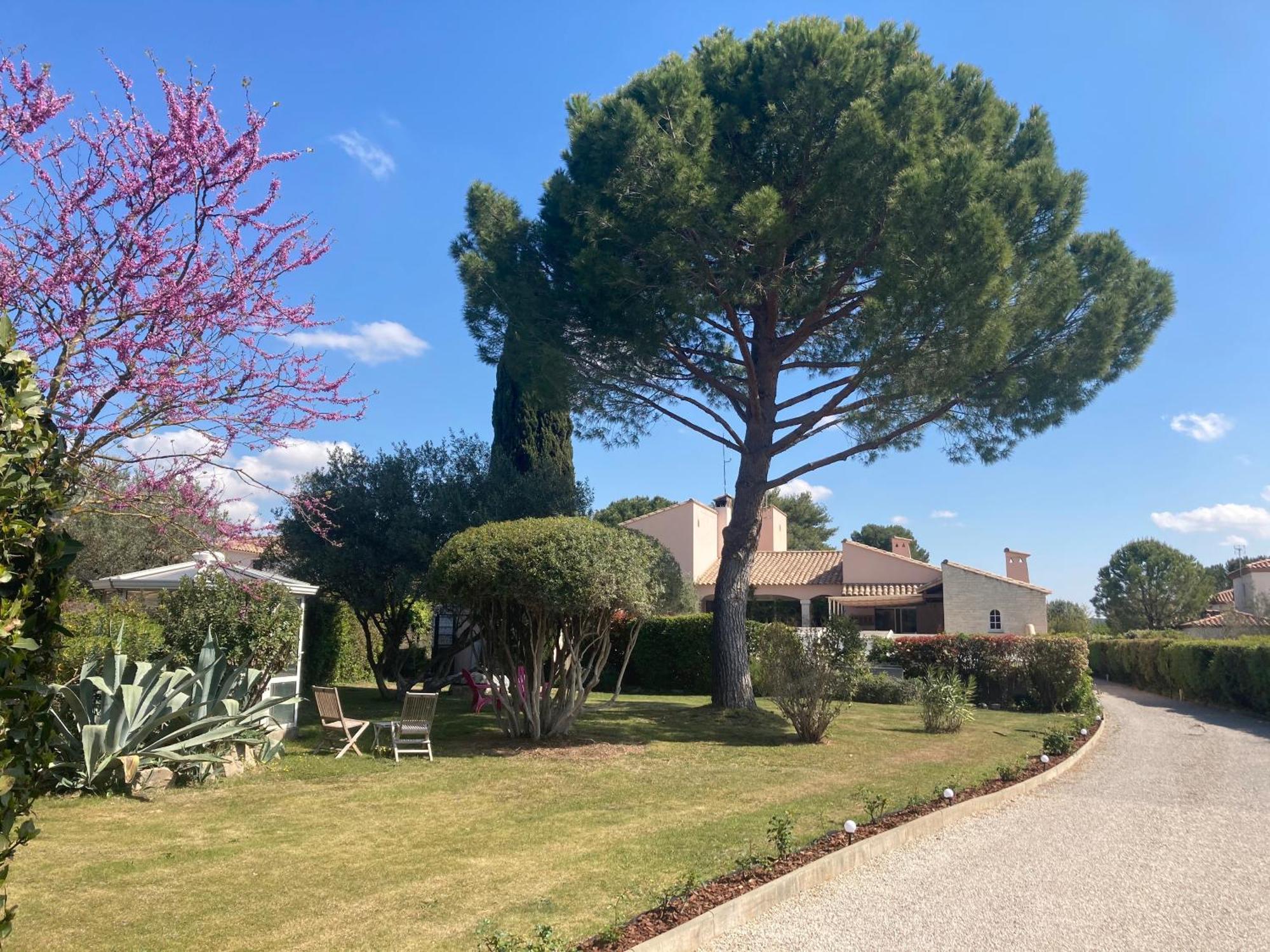Les Bougainvillees De Camargue Villetelle Exteriér fotografie